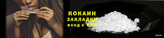 шишки Вяземский