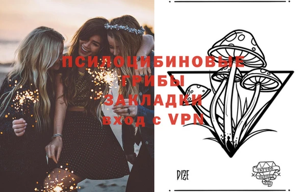 шишки Вяземский