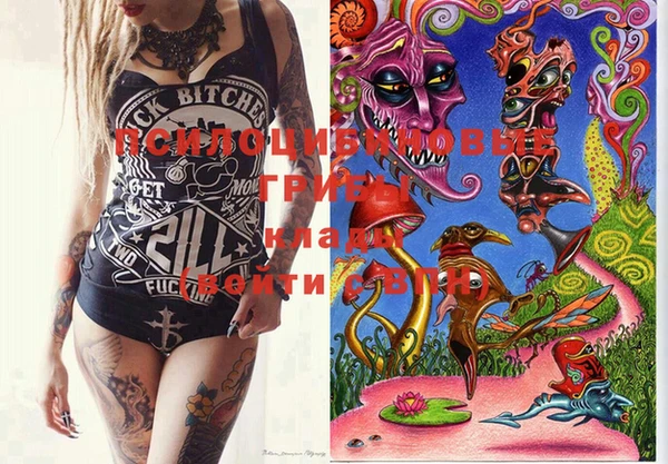 MDMA Premium VHQ Волосово
