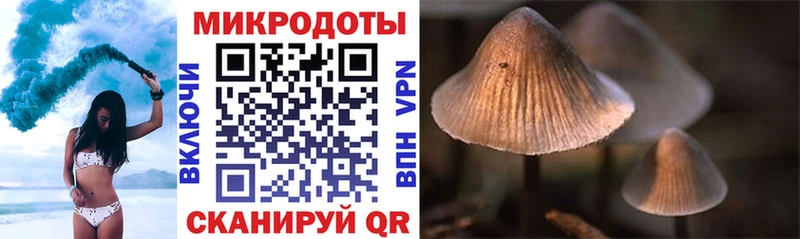 Галлюциногенные грибы Psilocybine cubensis  Купить закладки  Малоархангельск 
